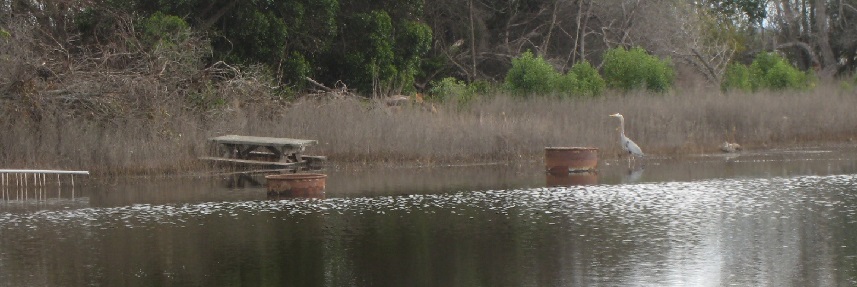 Flooded area of McGrath SB
